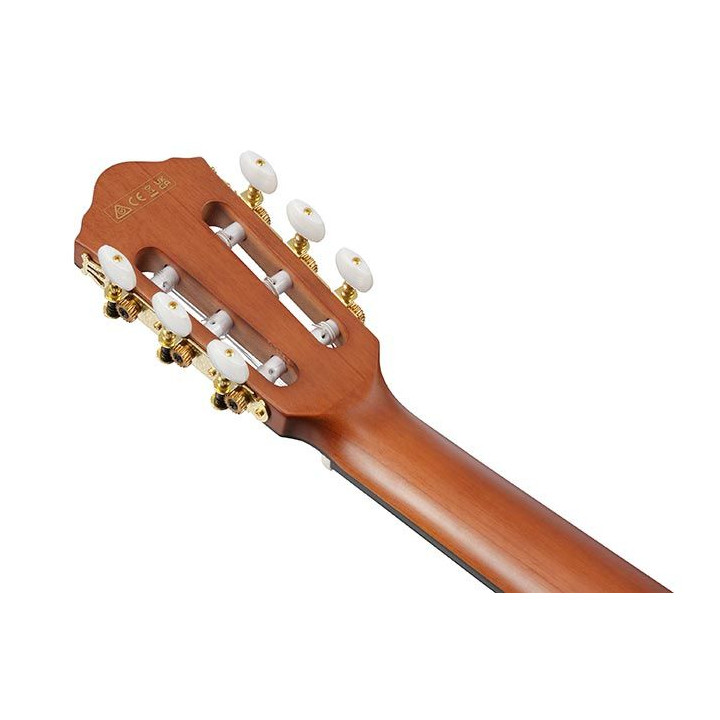 IBANEZ FRH10N-BSF ELEKTRO-KLASIČNA GITARA