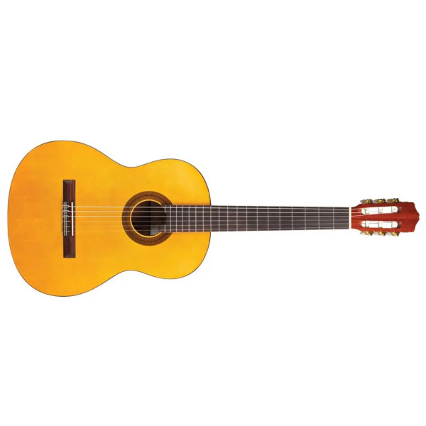 CORDOBA C1 PROTEGE