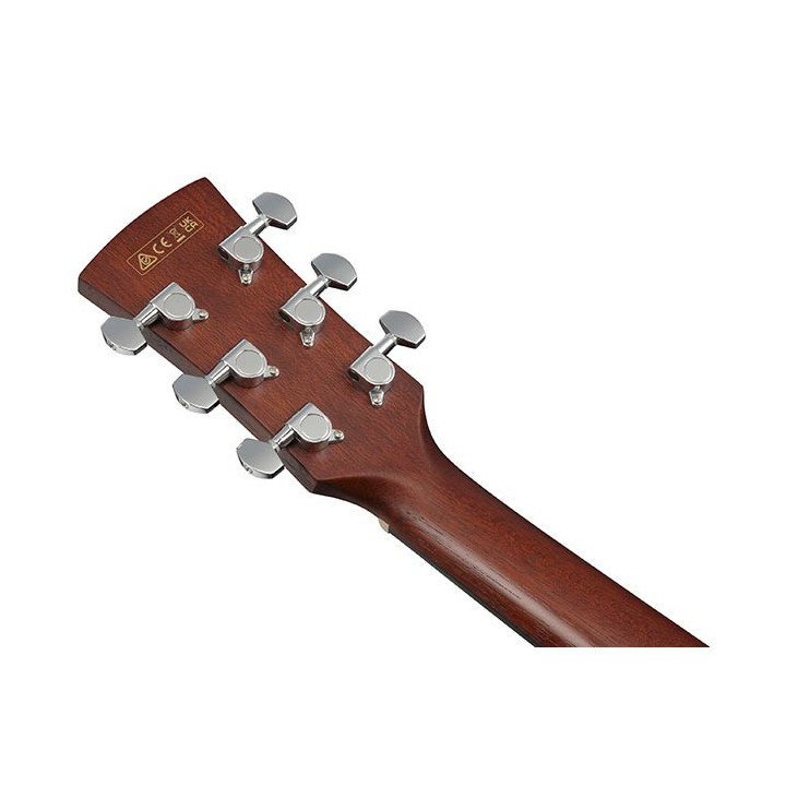IBANEZ PJ50E-OAH ELEKTRO - AKUSTIČNA GITARA