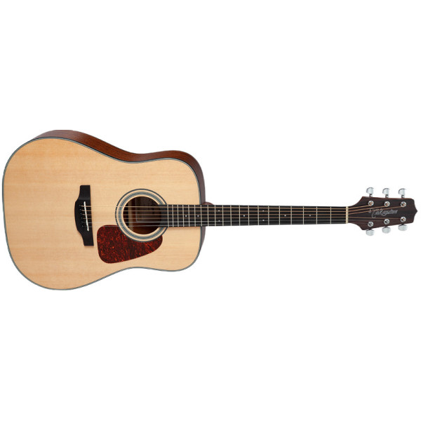 TAKAMINE GD10 NS