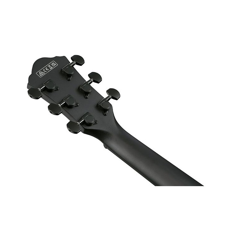 IBANEZ AEWC621-BOT ELECTROACOUSTIC GUITAR