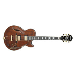 IBANEZ AG95MG-DA ELEKTRIČNA GITARA